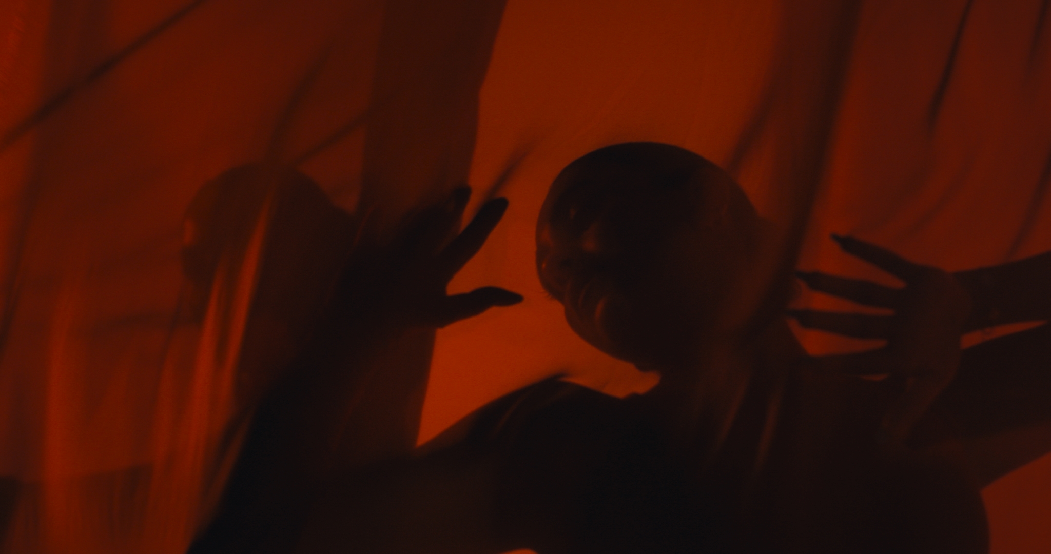 Shadia — Color Grade by Black Set